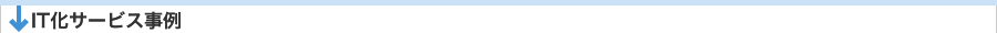 IT化サービス事例