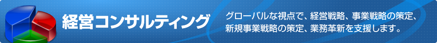 経営コンサルティング