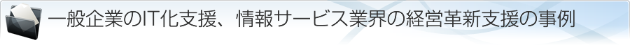 一般企業のIT化支援、情報サービス業界の経営革新支援の事例